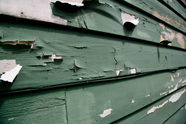 Best Siding Painting and Refinishing  in Ulysses, KS